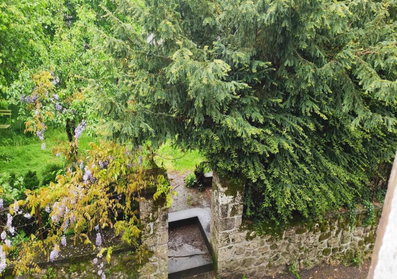 Cap Nature - T4 Et T3 En Perigord Vert - Ideal Pros Et Groupes Max 18P Champniers-et-Reilhac Esterno foto