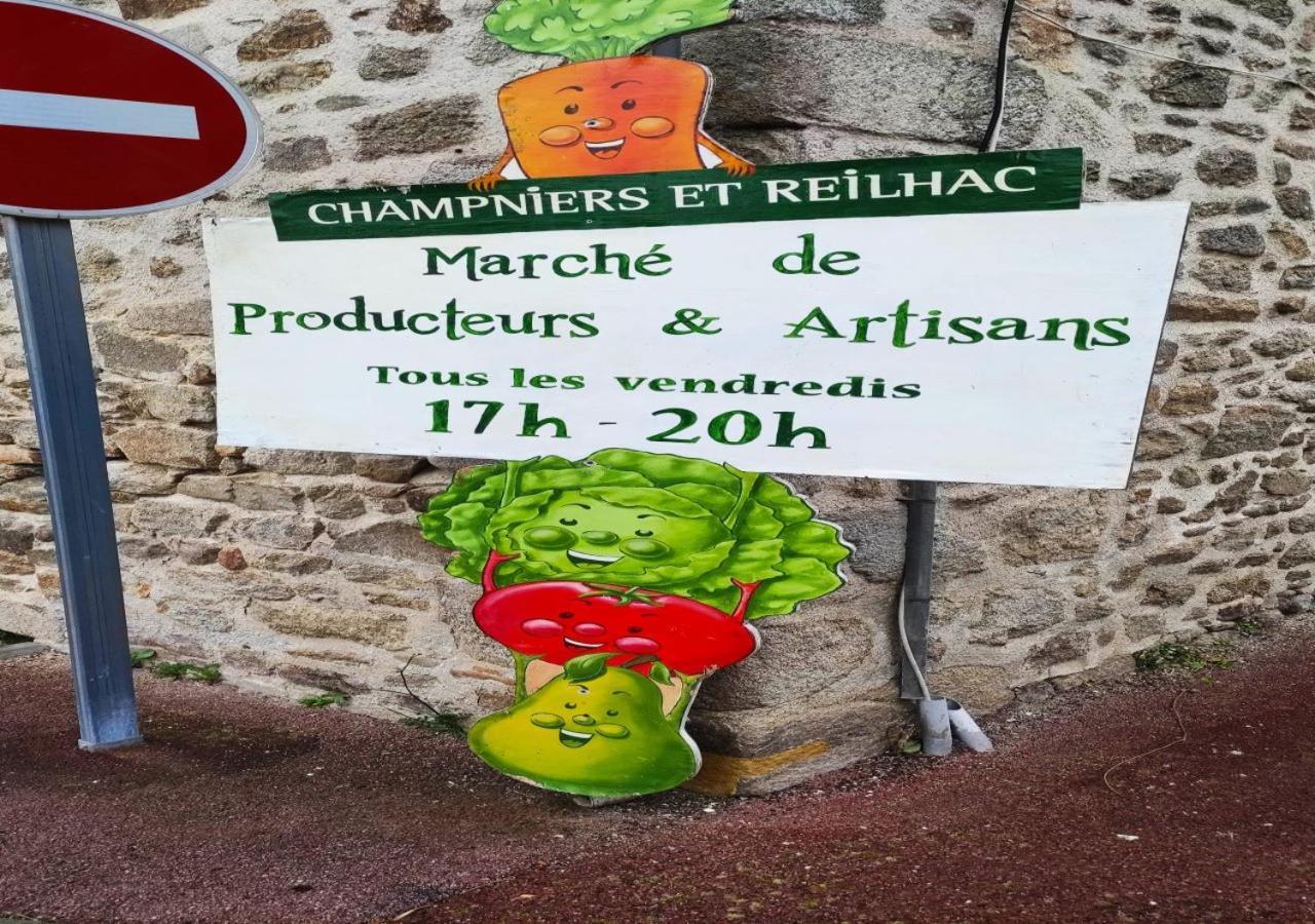 Cap Nature - T4 Et T3 En Perigord Vert - Ideal Pros Et Groupes Max 18P Champniers-et-Reilhac Esterno foto