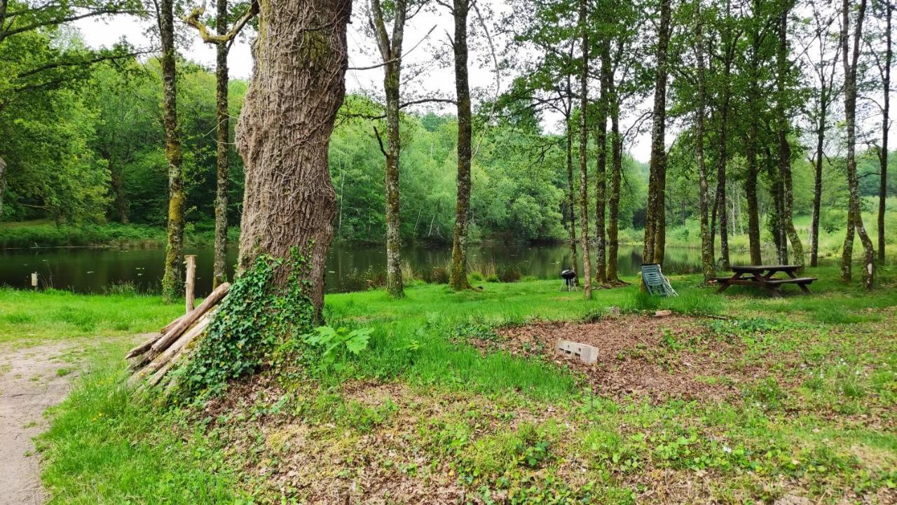 Cap Nature - T4 Et T3 En Perigord Vert - Ideal Pros Et Groupes Max 18P Champniers-et-Reilhac Esterno foto